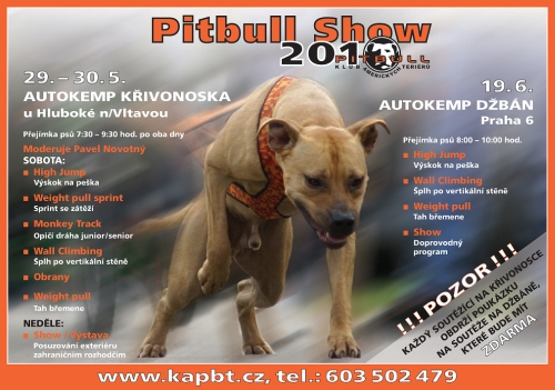 Pitbull Show