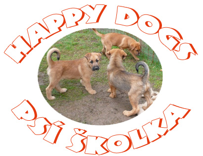 Happy dogs