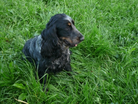 Monty